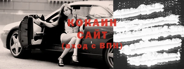 индика Богданович
