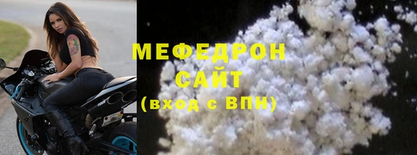 индика Богданович