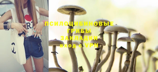 гидропоника Богородицк