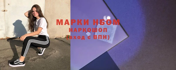 сатива Белокуриха