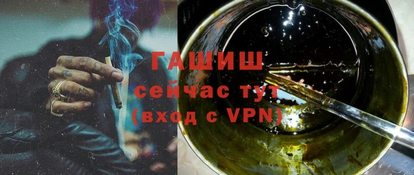 индика Богданович