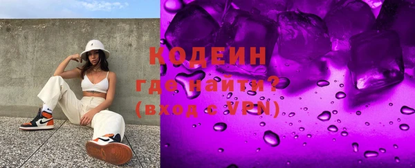 индика Богданович