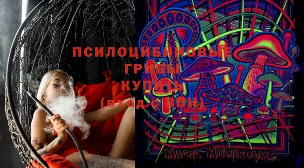 apvp Балахна