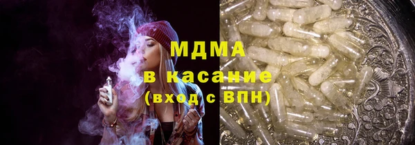 индика Богданович
