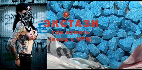 индика Богданович