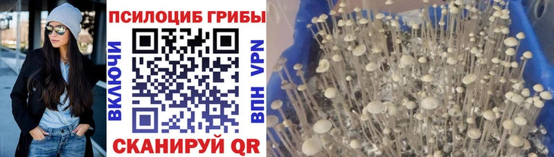 Галлюциногенные грибы мухоморы  Вельск 